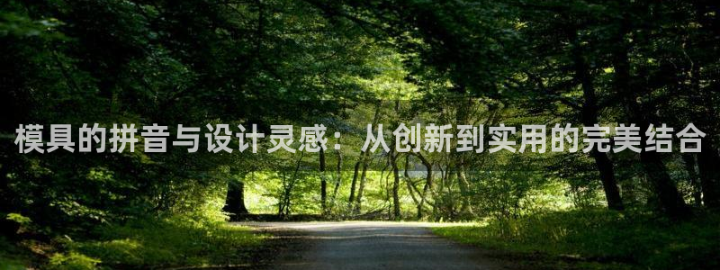 太阳集团城网址娱网 - 太阳集团电子游戏：模具的拼音与设计灵感：从创新到实用的完美结合