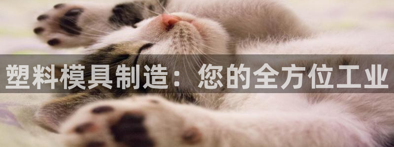 122cc太阳集成游戏官方网站