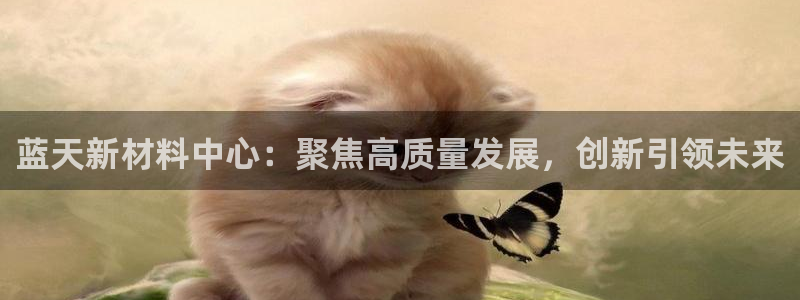 太阳app官方下载：蓝天新材料中心：聚焦高质量发展，创新引领未来