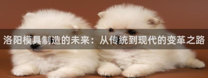 太阳董事长：洛阳模具制造的未来：从传统到现代的变革之路