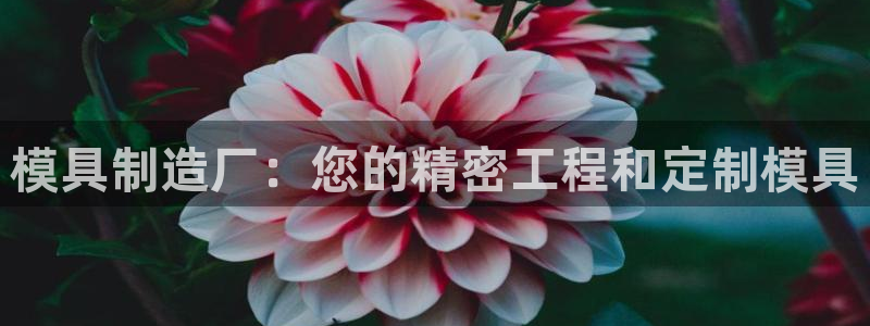 太阳集团城所有网址是多少：模具制造厂：您的精密工程和定制模具