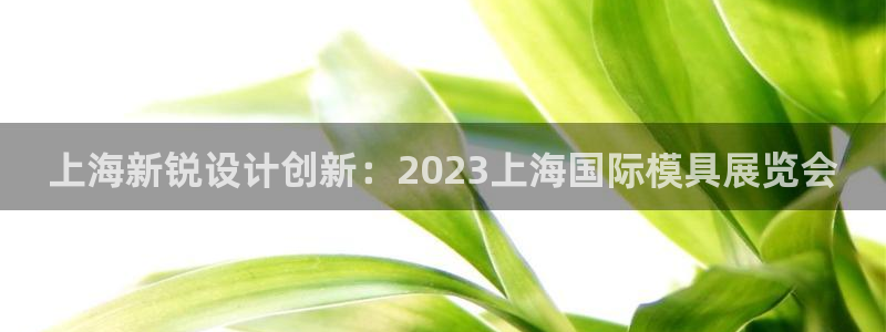 太阳成集团网站5：上海新锐设计创新：2023上海国际模具展览会