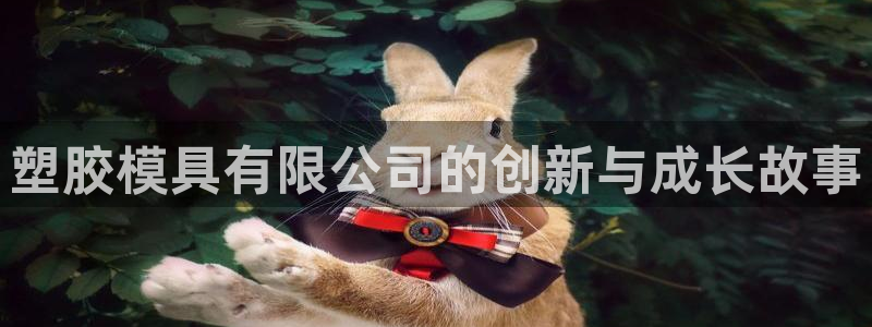 太阳集团网站视频：塑胶模具有限公司的创新与成长故事