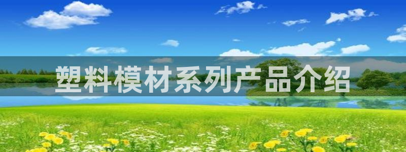 太阳成集团游戏是正规平台嚒：塑料模材系列产品介绍