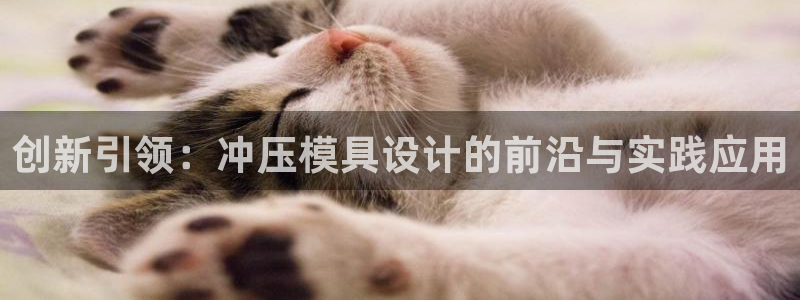 太阳神电子游戏平台：创新引领：冲压模具设计的前沿与实践应用