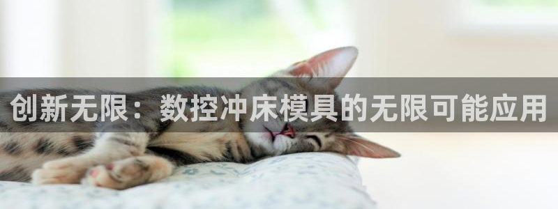 太阳诚集团是什么：创新无限：数控冲床模具的无限可能应用