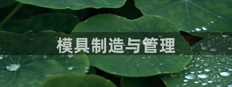 太阳成集团tyc234cc主页网址：模具制造与管理