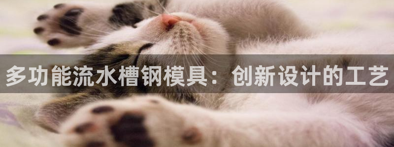 太阳集团城网址娱网：多功能流水槽钢模具：创新设计的工艺