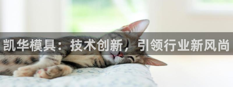 太阳集团app十佳平台怎么样：凯华模具：技术创新，引领行业新风尚