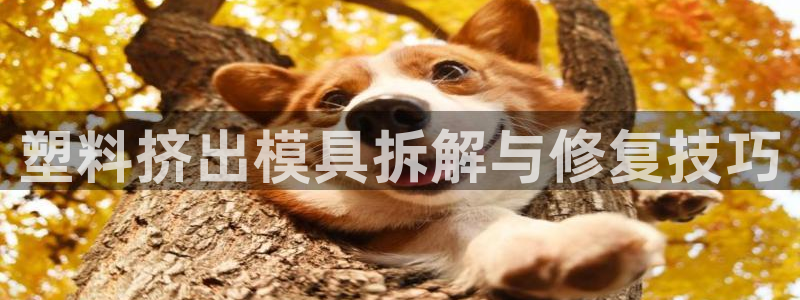 太阳集团娱乐所有网站app游戏优势：塑料挤出模具拆解与修复技巧