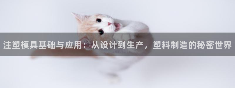 太阳集团2018登录网址查询：注塑模具基础与应用：从设计到生产，塑料制造的秘密世界