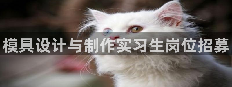 太阳电玩城下载