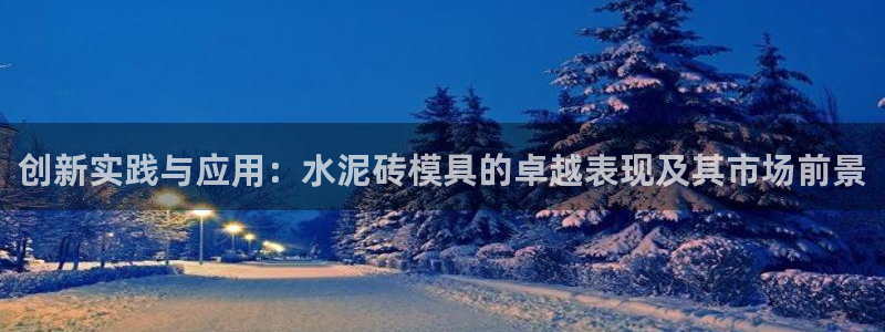 太阳集团游戏网址：创新实践与应用：水泥砖模具的卓越表现及其市