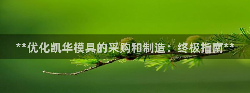 063801太阳集团备用网址：**优化凯华模具的采购和制造：终极指南**