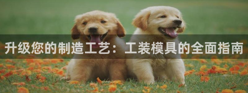 古天乐代言澳门太阳游戏网址