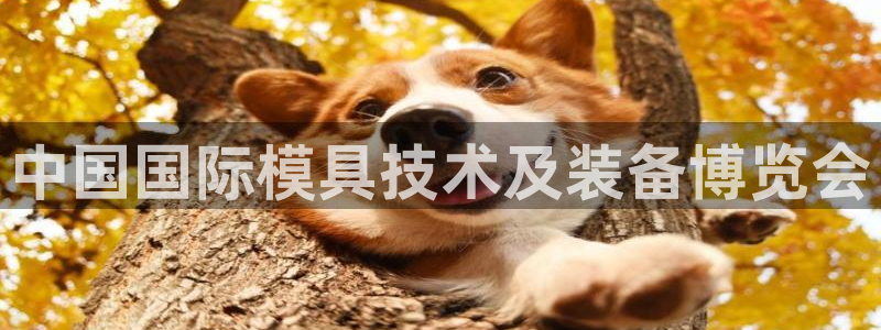 太阳集团城娱138