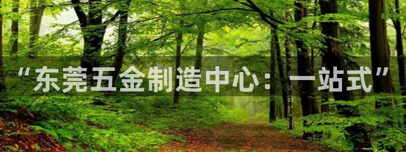 太阳集团sungroup：“东莞五金制造中心：一站式”