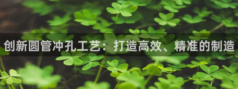 太阳集团tcy8722贵宾会