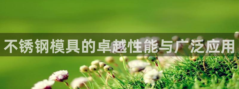 太阳2注册官网下载：不锈钢模具的卓越性能与广泛应用