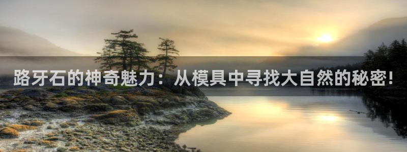 太阳集团app十佳平台